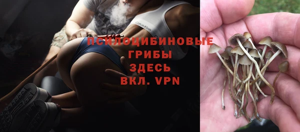 марки lsd Козловка