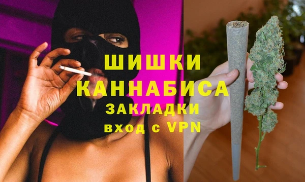 mix Козельск