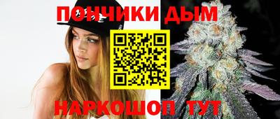 apvp Канаш