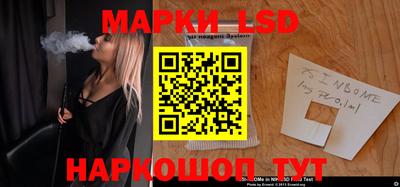 apvp Канаш