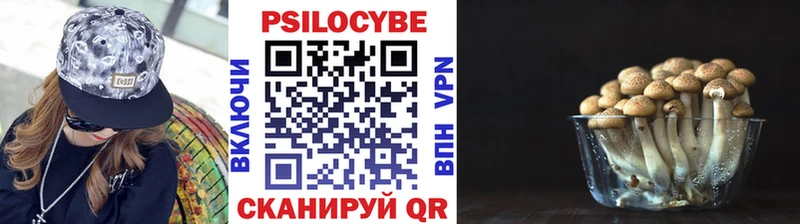 Галлюциногенные грибы мицелий  Кушва 