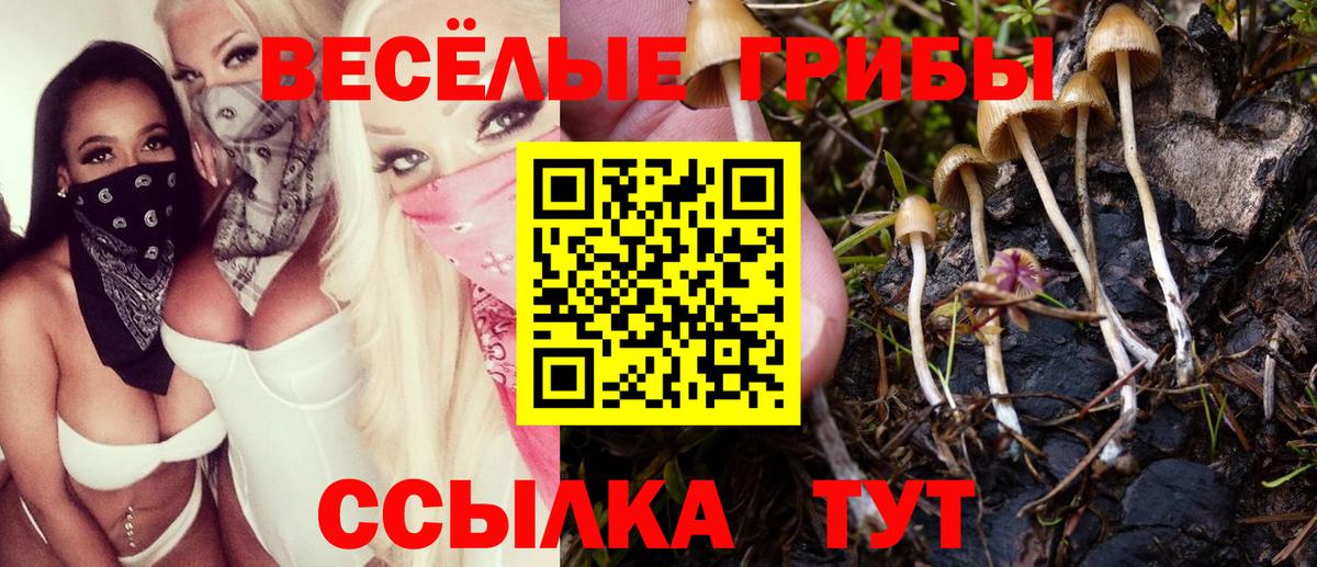 Псилоцибиновые грибы Psilocybine cubensis  цена наркотик  Кушва  Вход с VPN 